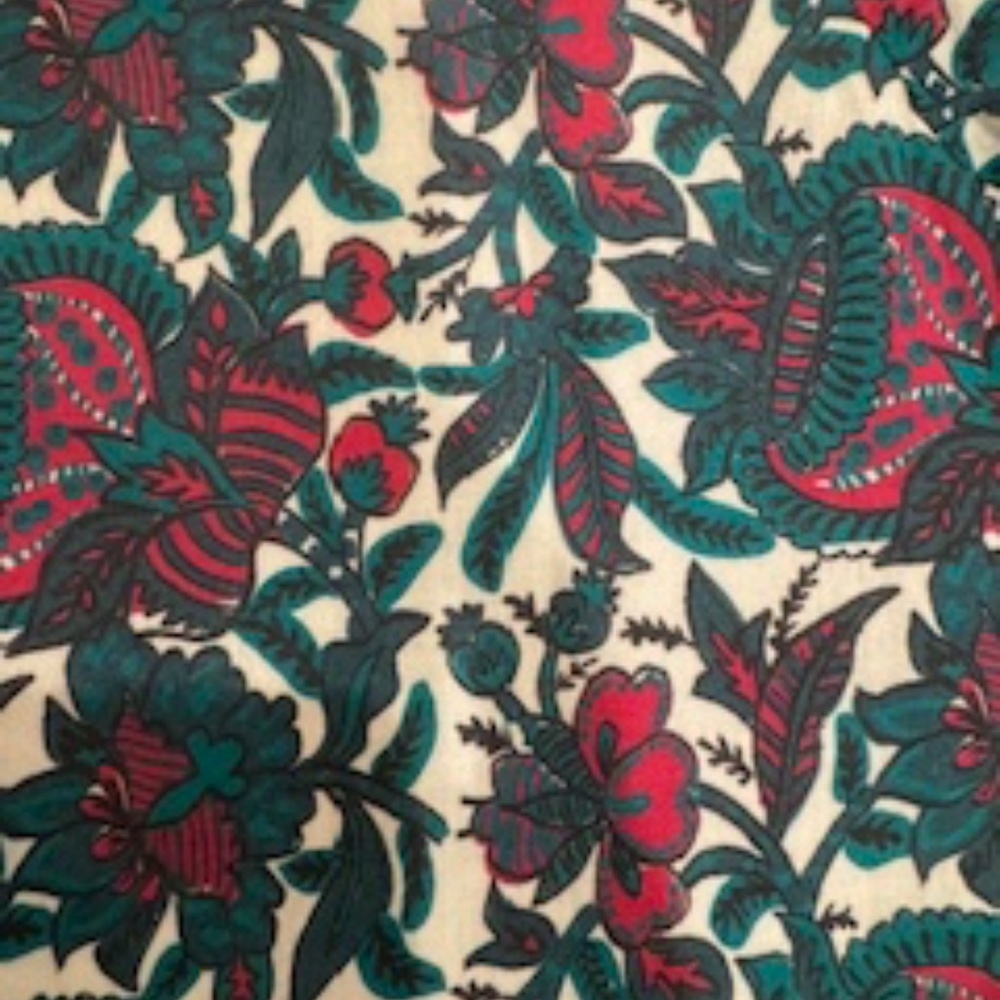 NEW WITH TAGS! $245 Ro's Garden Daphne dress in GORGEOUS print, size large